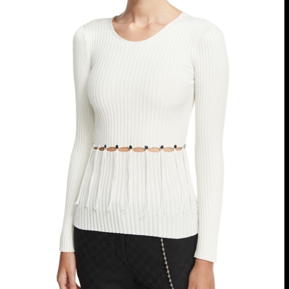 NWT Alexander Wang Suspended Fringe Sweater